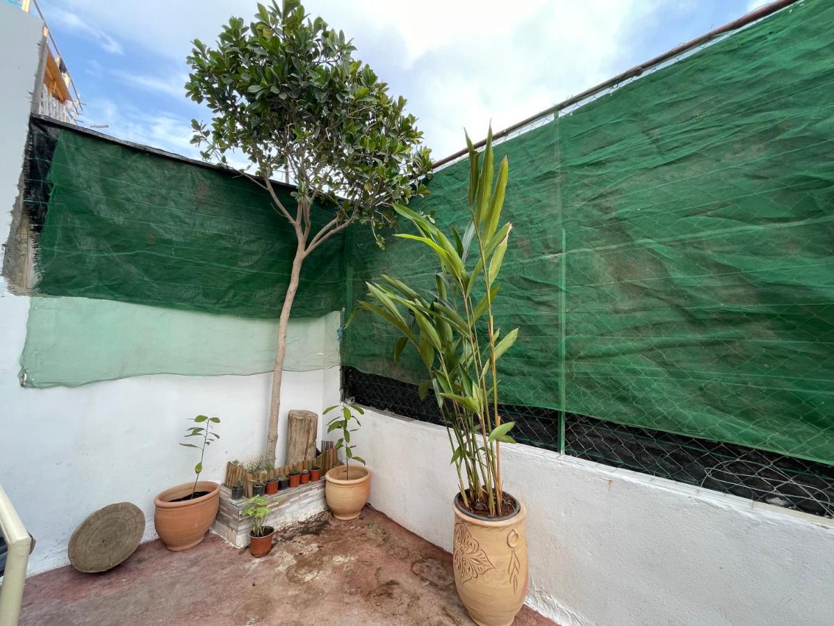 Jungle Surf House Hostel Taghazout Exterior photo