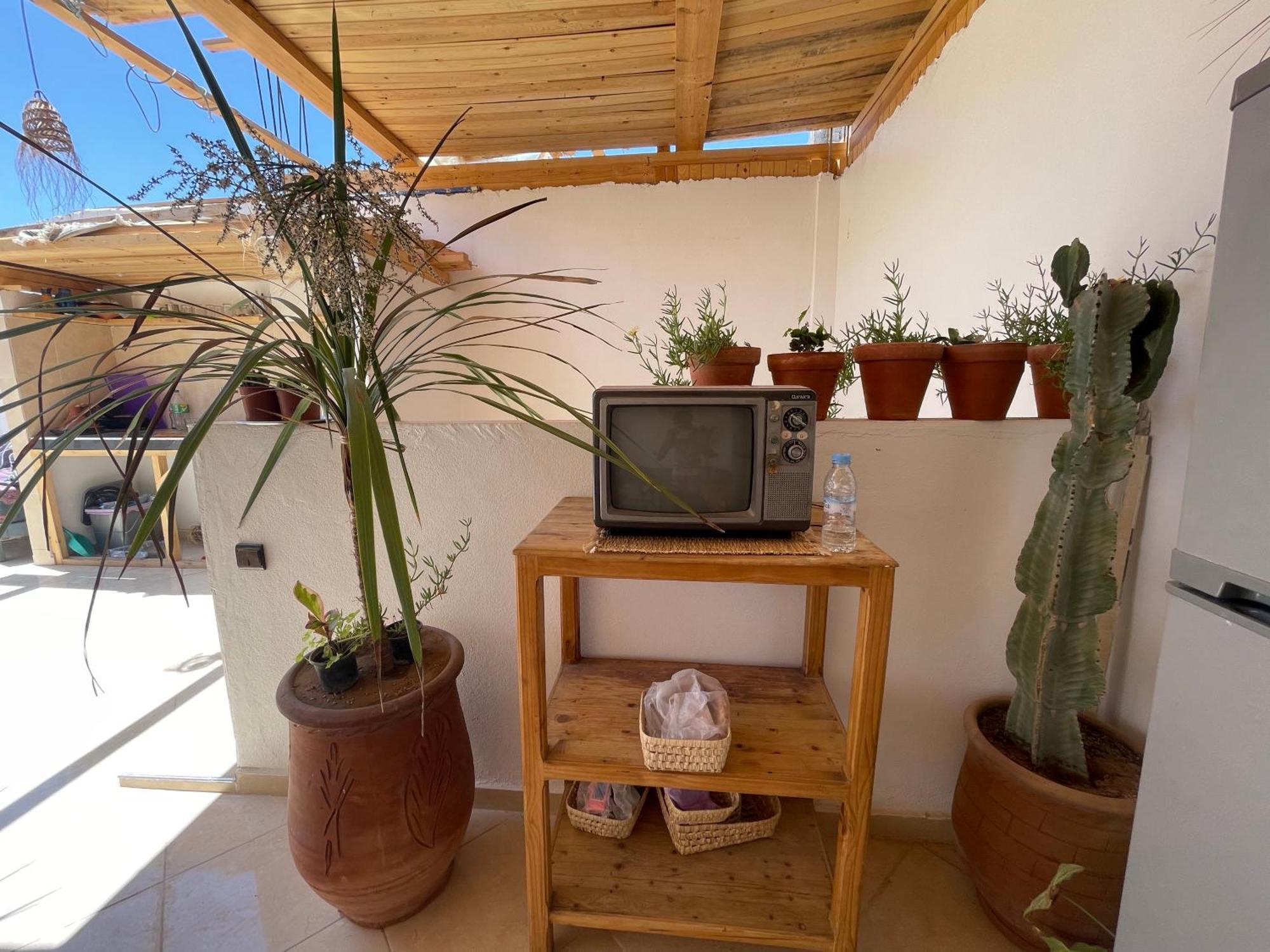 Jungle Surf House Hostel Taghazout Exterior photo